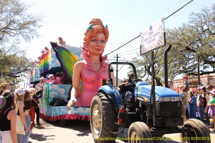 Krewe-of-Iris-2025-0694