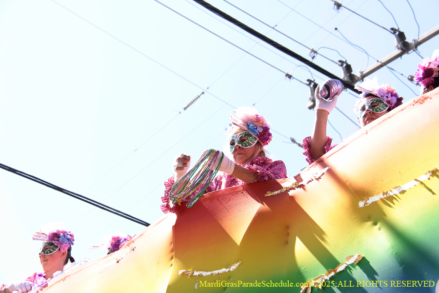 Krewe-of-Iris-2025-0696