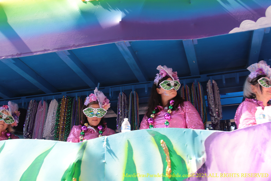 Krewe-of-Iris-2025-0697