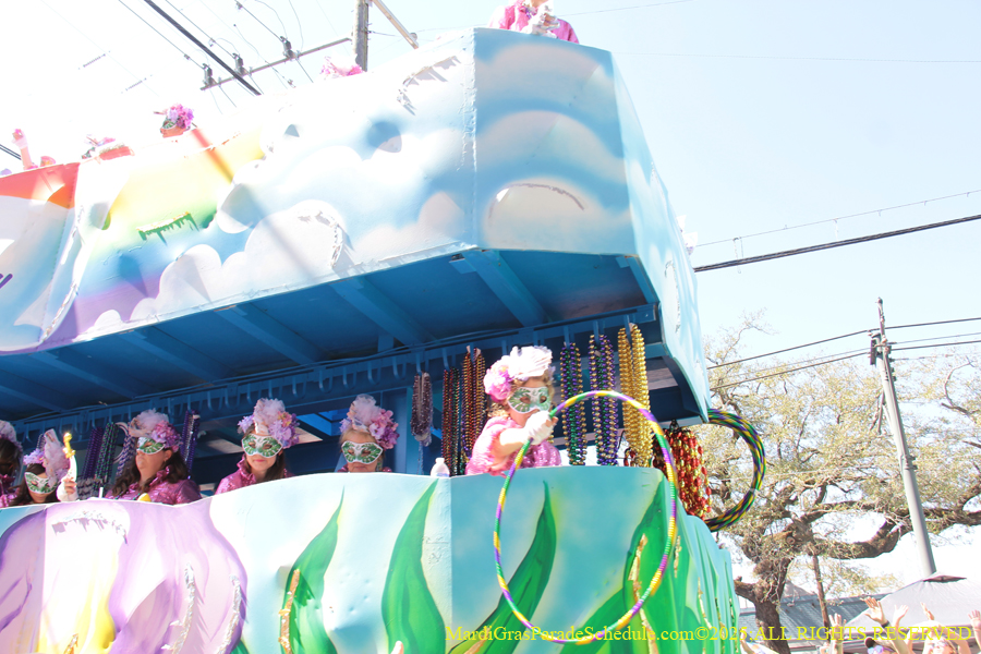 Krewe-of-Iris-2025-0699