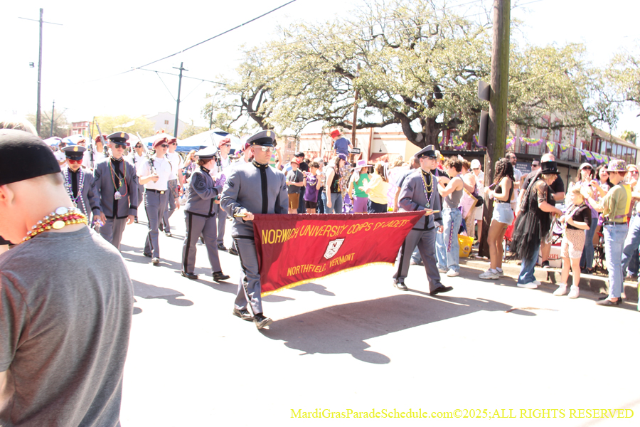 Krewe-of-Iris-2025-0703