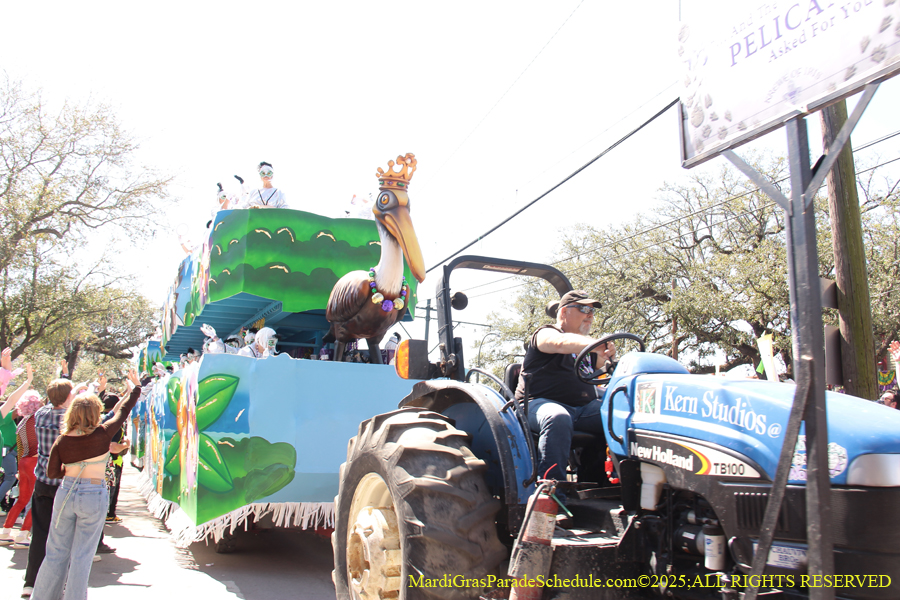 Krewe-of-Iris-2025-0704