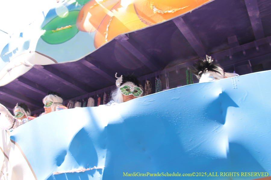 Krewe-of-Iris-2025-0706