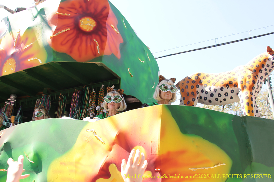 Krewe-of-Iris-2025-0718