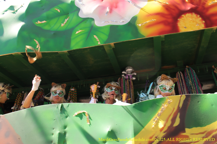 Krewe-of-Iris-2025-0719