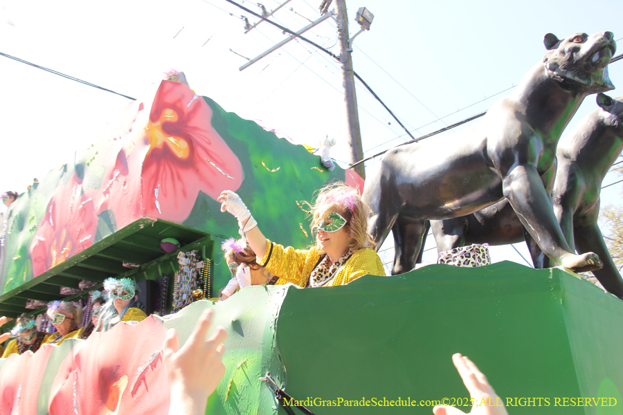 Krewe-of-Iris-2025-0720