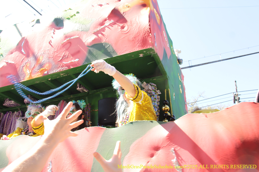 Krewe-of-Iris-2025-0721