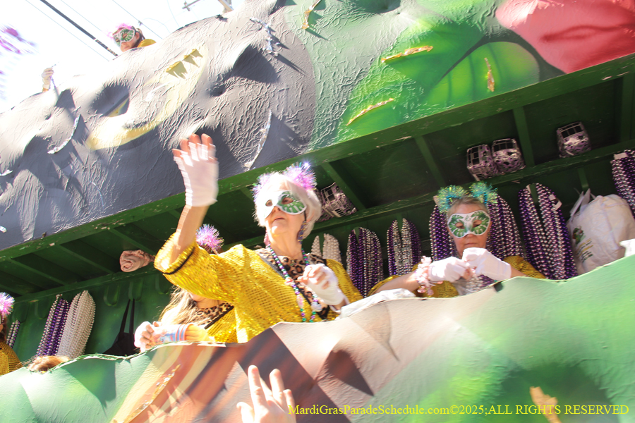 Krewe-of-Iris-2025-0722