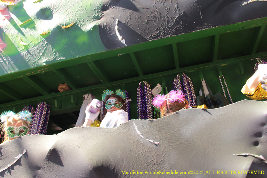 Krewe-of-Iris-2025-0723