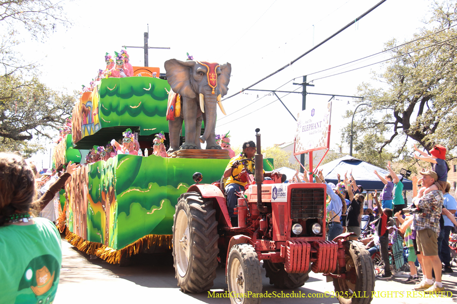 Krewe-of-Iris-2025-0726