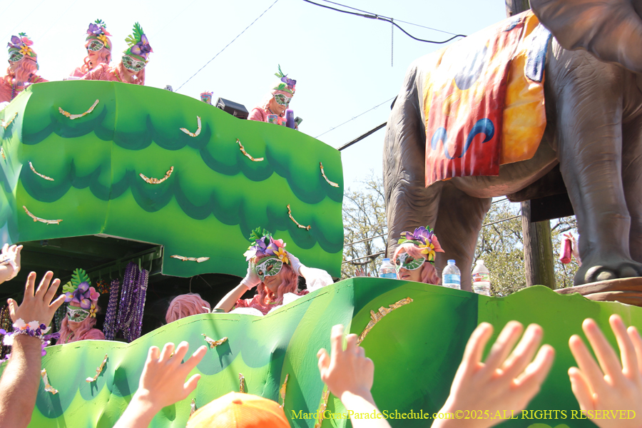 Krewe-of-Iris-2025-0727