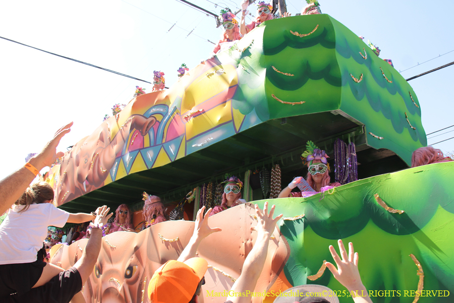 Krewe-of-Iris-2025-0728