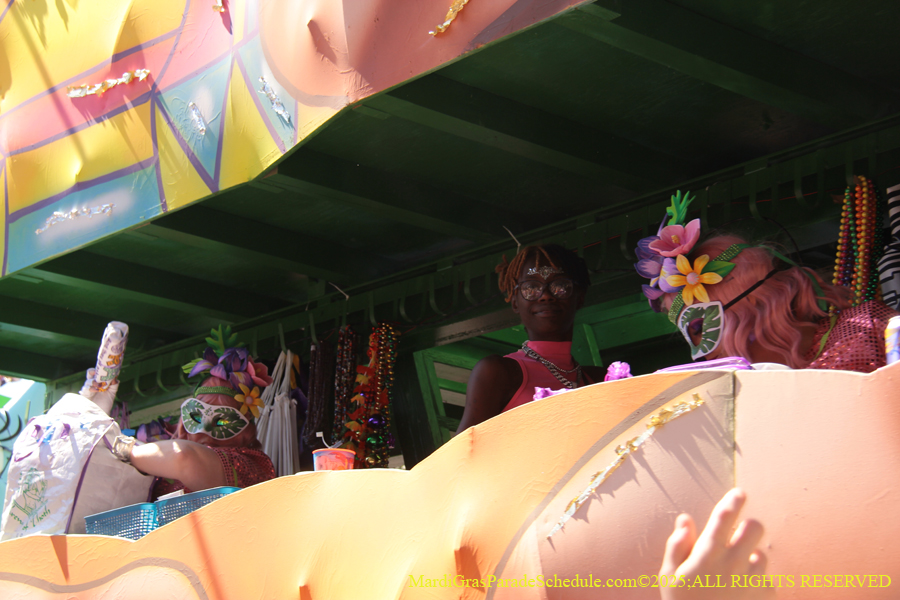 Krewe-of-Iris-2025-0729