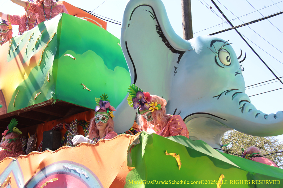 Krewe-of-Iris-2025-0730