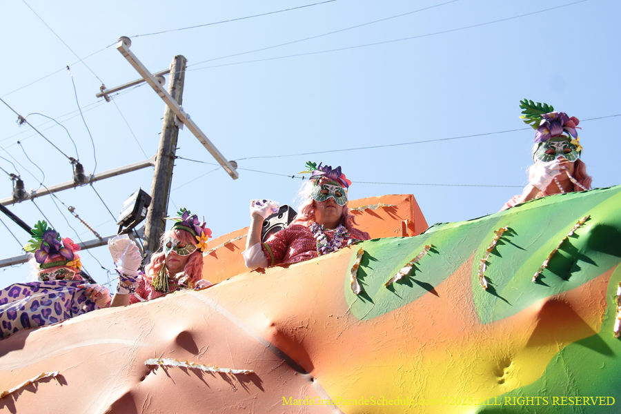 Krewe-of-Iris-2025-0731