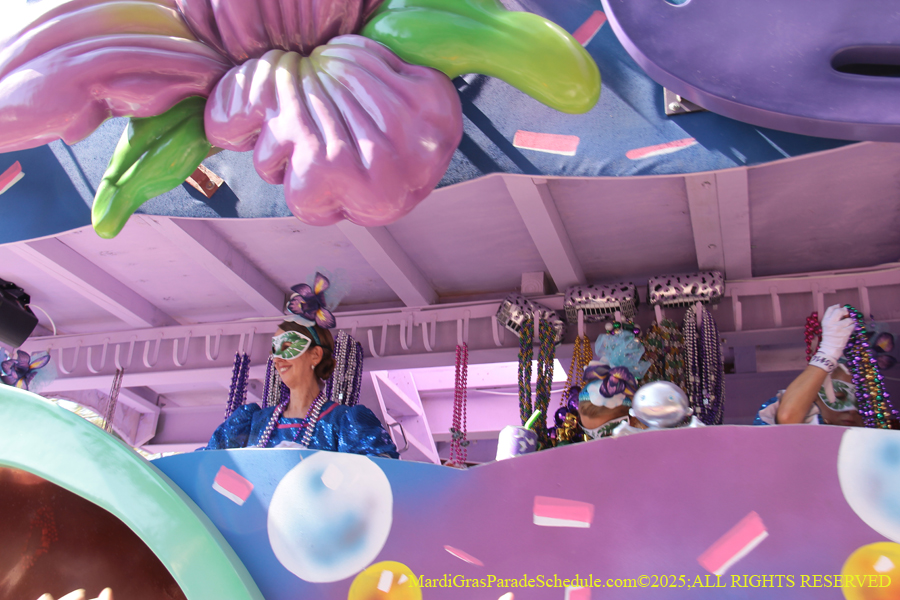 Krewe-of-Iris-2025-0738