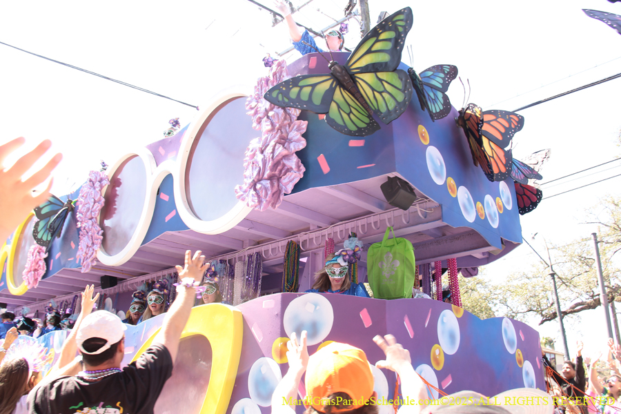 Krewe-of-Iris-2025-0739