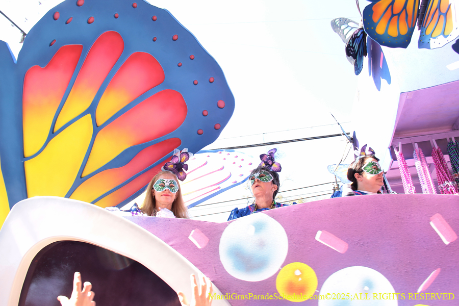 Krewe-of-Iris-2025-0744