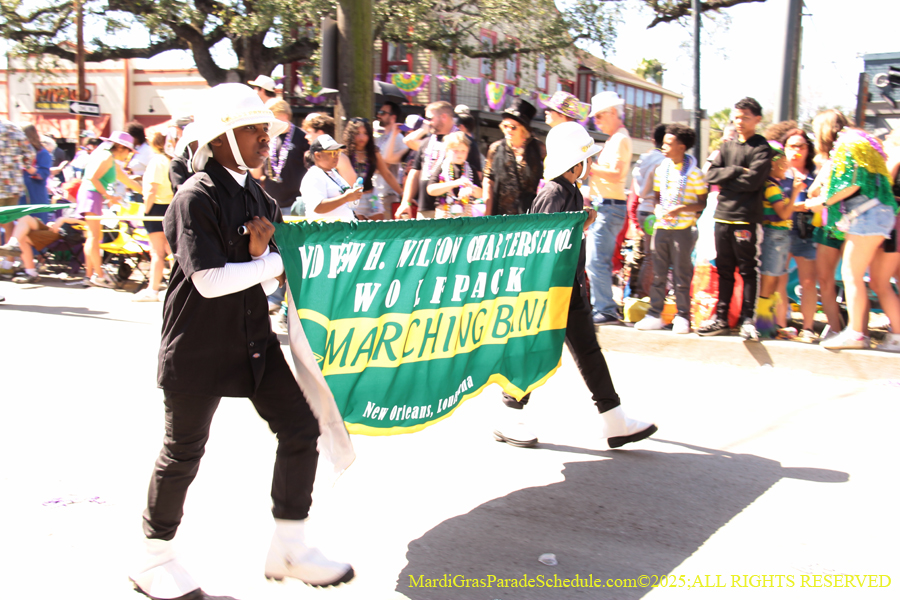 Krewe-of-Iris-2025-0745