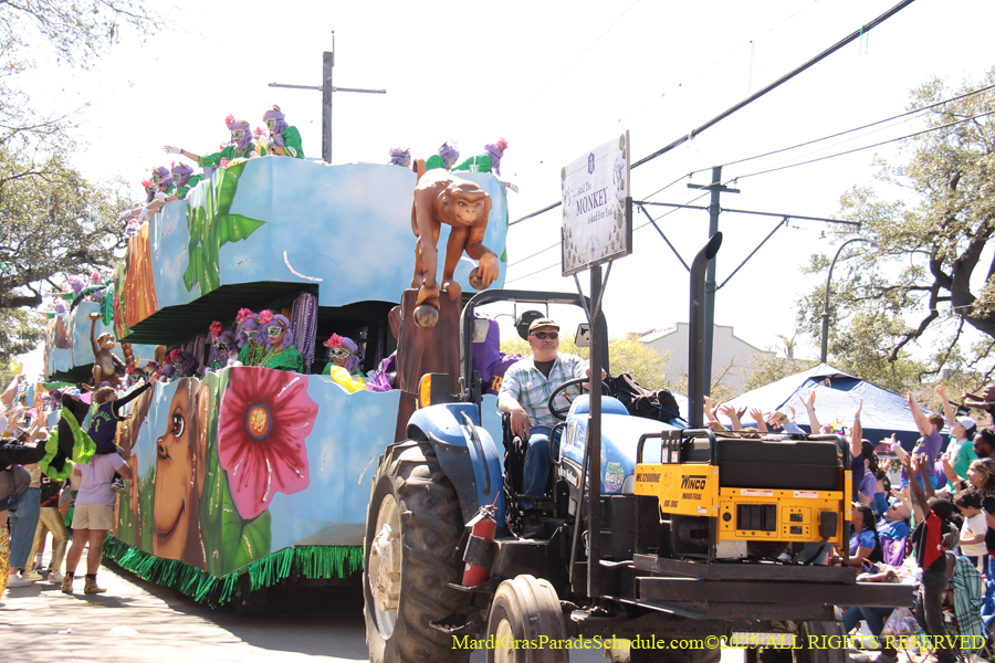 Krewe-of-Iris-2025-0749