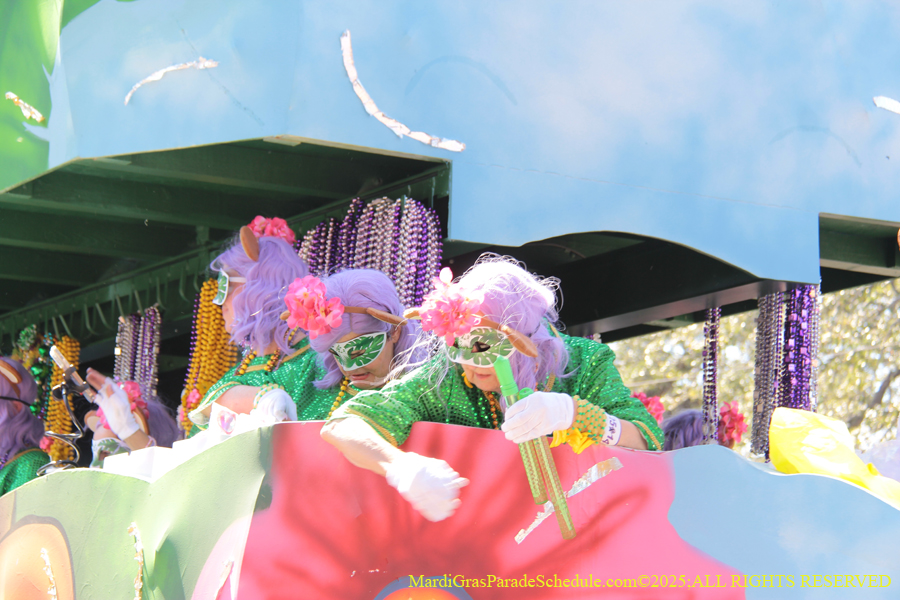 Krewe-of-Iris-2025-0750
