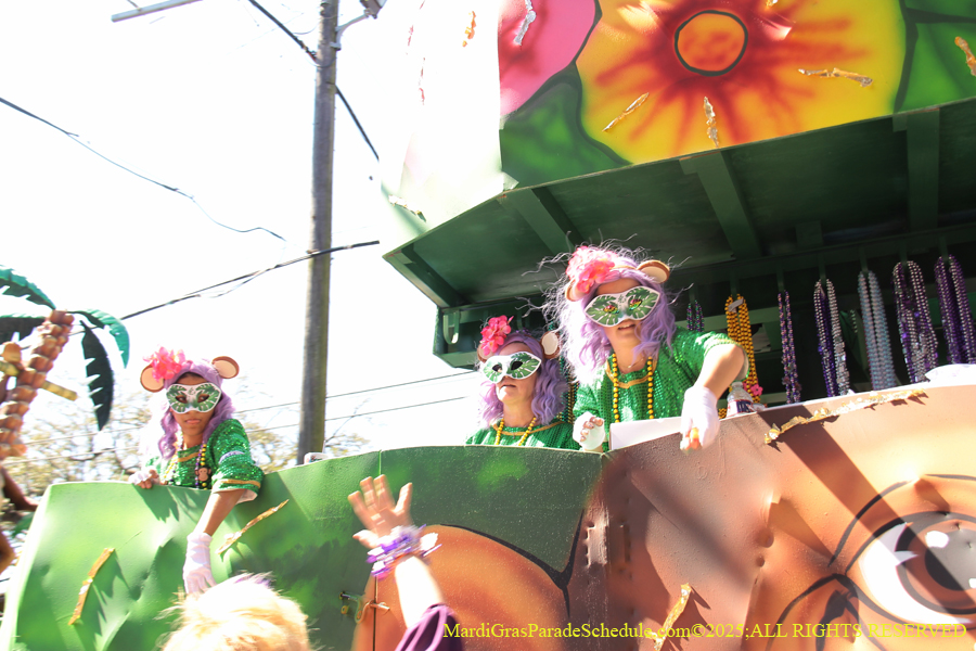Krewe-of-Iris-2025-0751