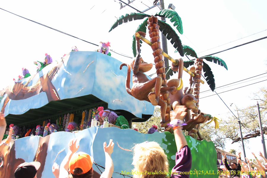 Krewe-of-Iris-2025-0752