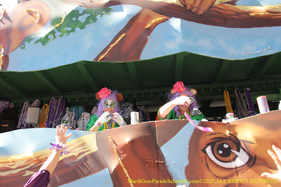 Krewe-of-Iris-2025-0753
