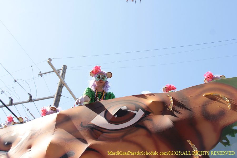 Krewe-of-Iris-2025-0754