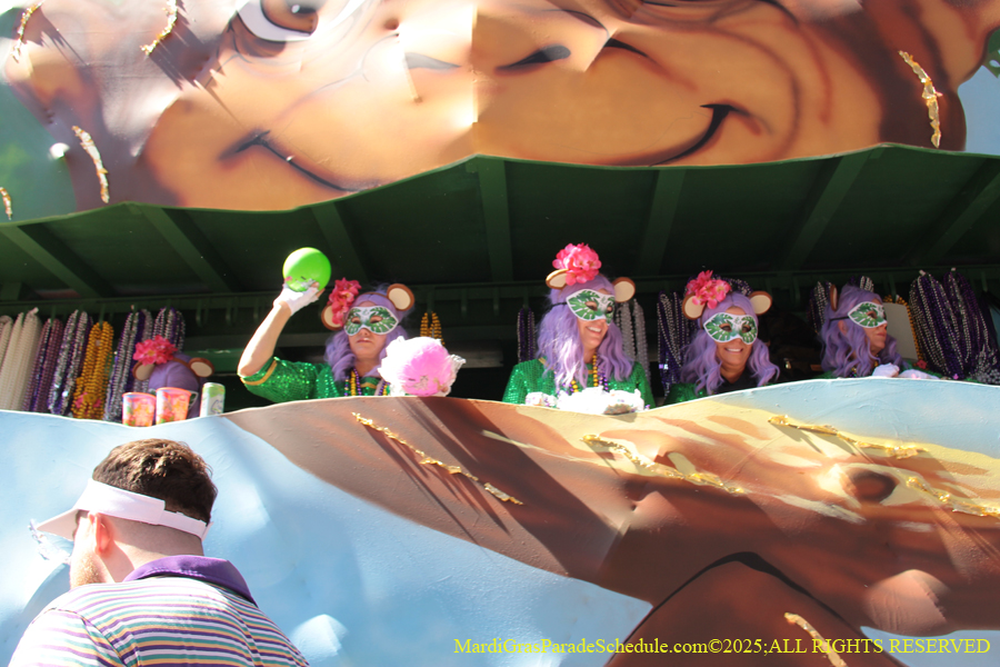 Krewe-of-Iris-2025-0755