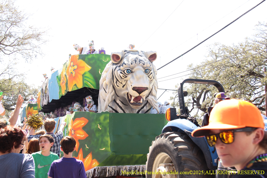Krewe-of-Iris-2025-0757