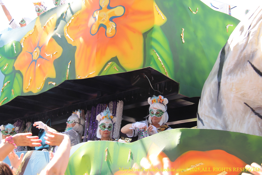 Krewe-of-Iris-2025-0758