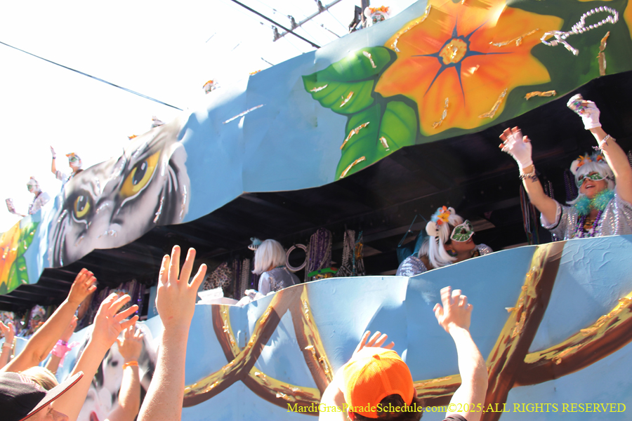 Krewe-of-Iris-2025-0759