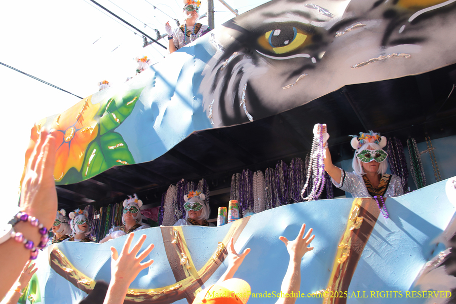 Krewe-of-Iris-2025-0760