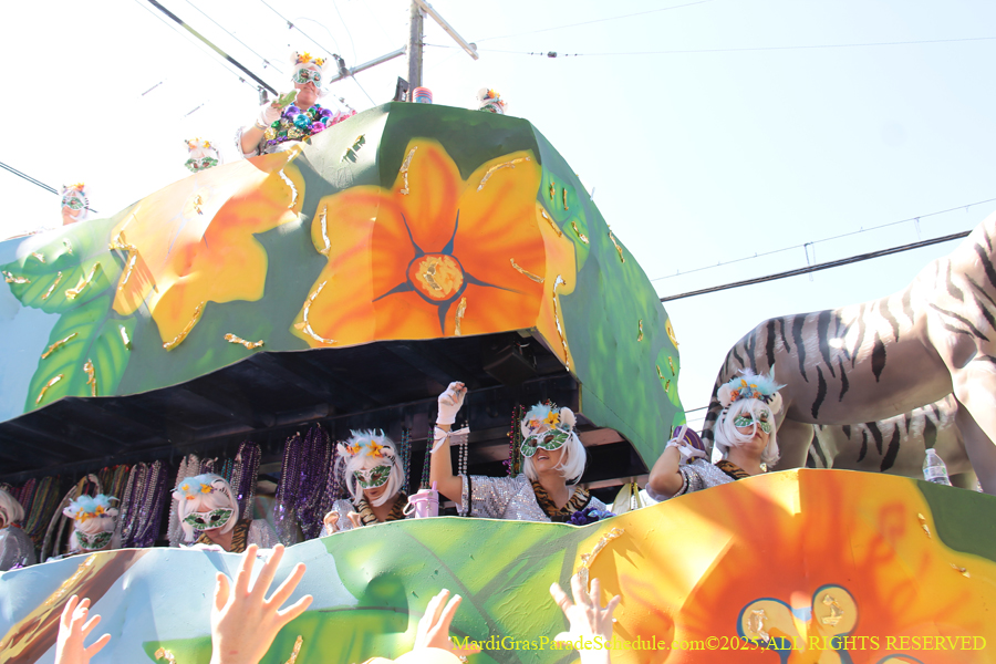 Krewe-of-Iris-2025-0761