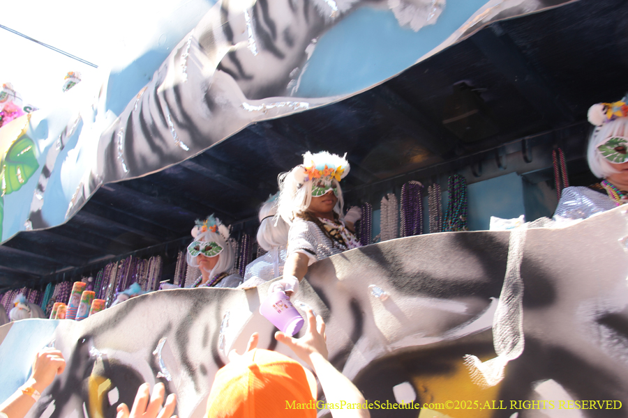 Krewe-of-Iris-2025-0762