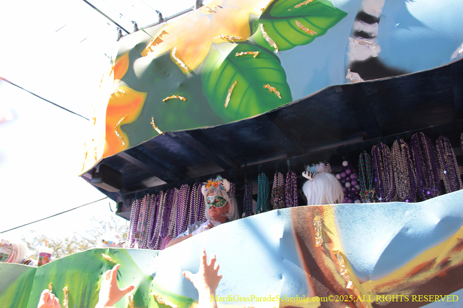 Krewe-of-Iris-2025-0763