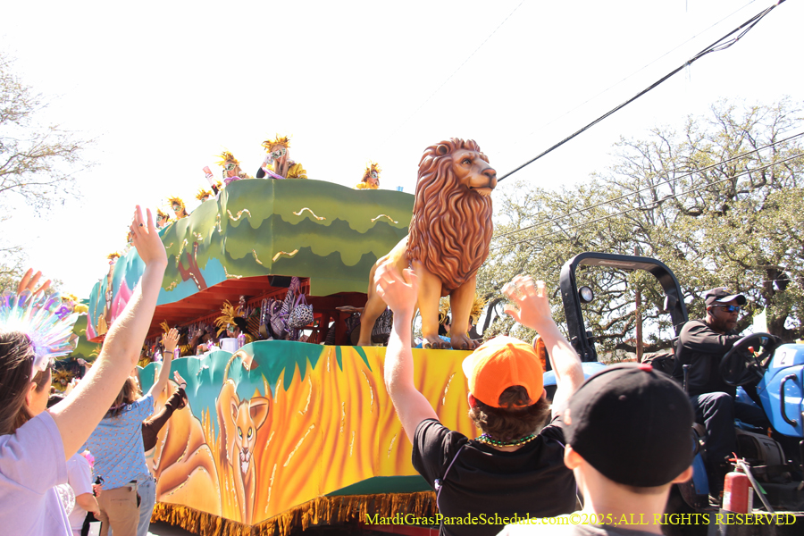 Krewe-of-Iris-2025-0766