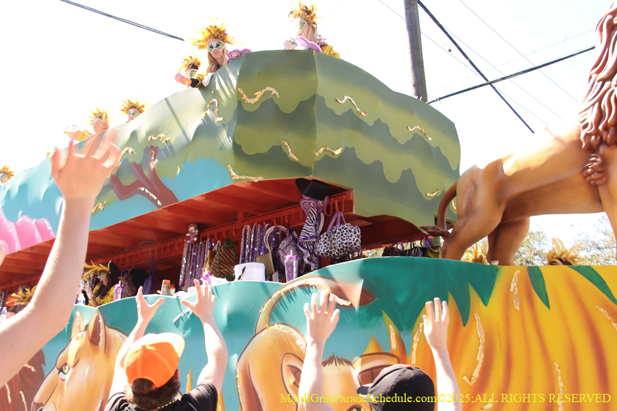 Krewe-of-Iris-2025-0767