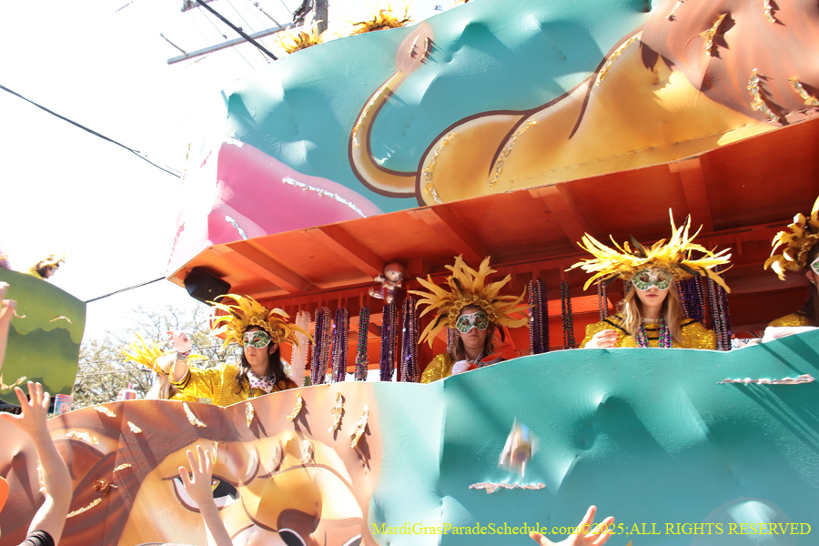 Krewe-of-Iris-2025-0769