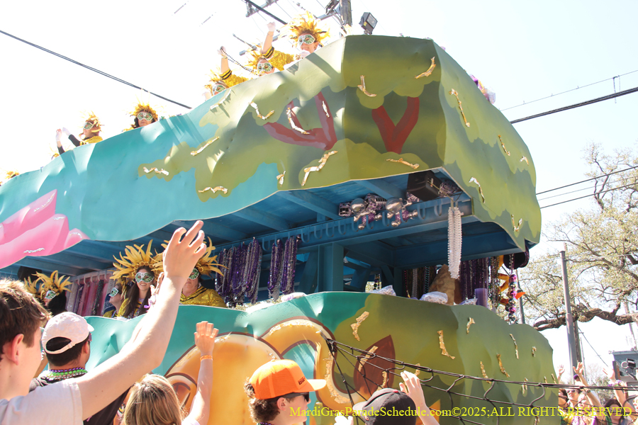 Krewe-of-Iris-2025-0770