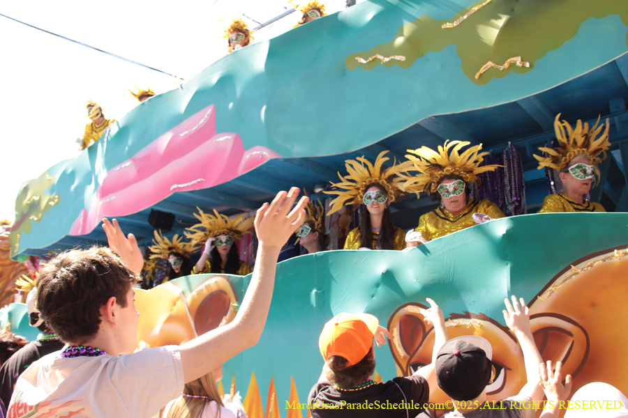 Krewe-of-Iris-2025-0771