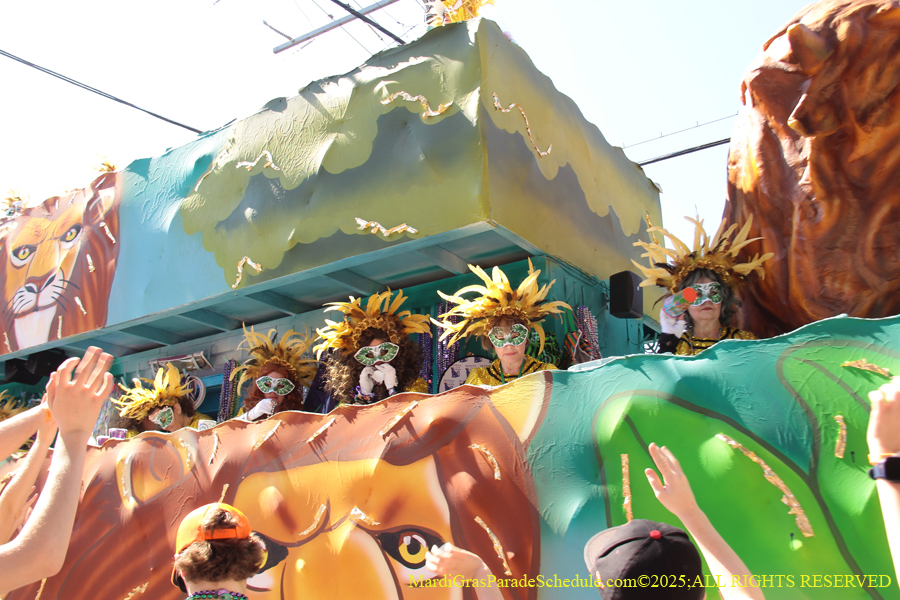 Krewe-of-Iris-2025-0774