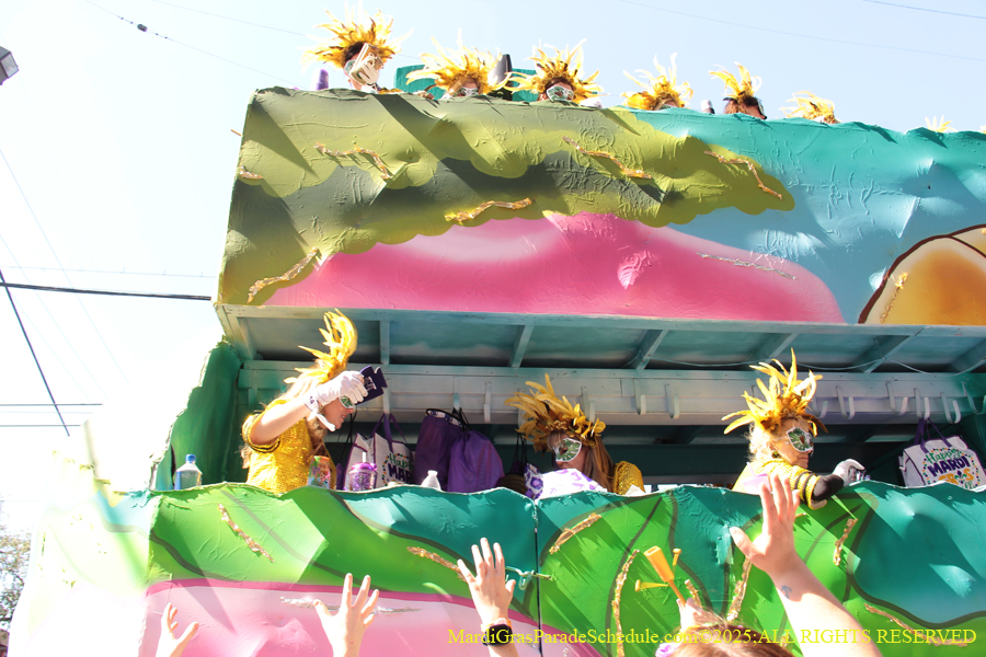 Krewe-of-Iris-2025-0775