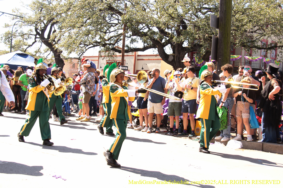 Krewe-of-Iris-2025-0776