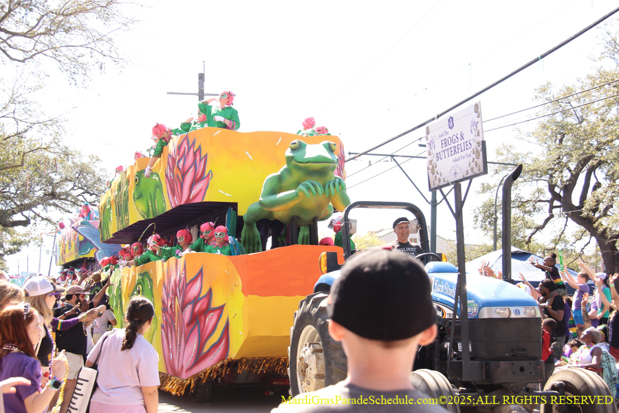 Krewe-of-Iris-2025-0777