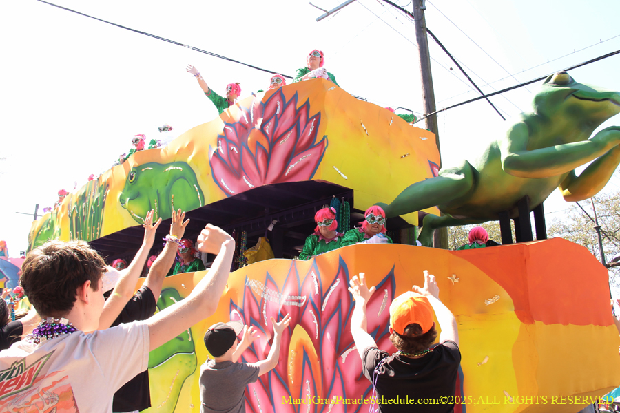 Krewe-of-Iris-2025-0778