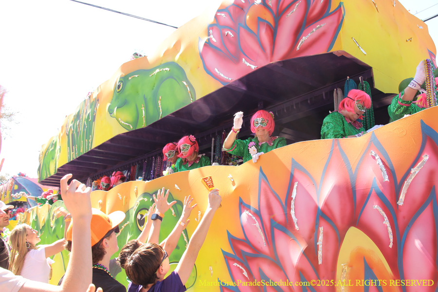 Krewe-of-Iris-2025-0779