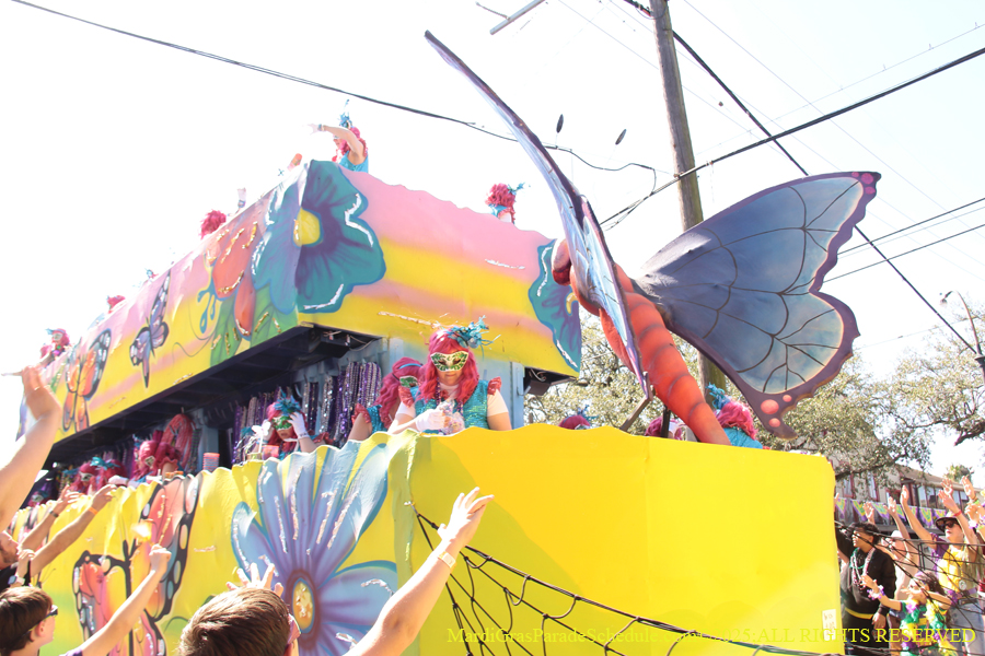 Krewe-of-Iris-2025-0780