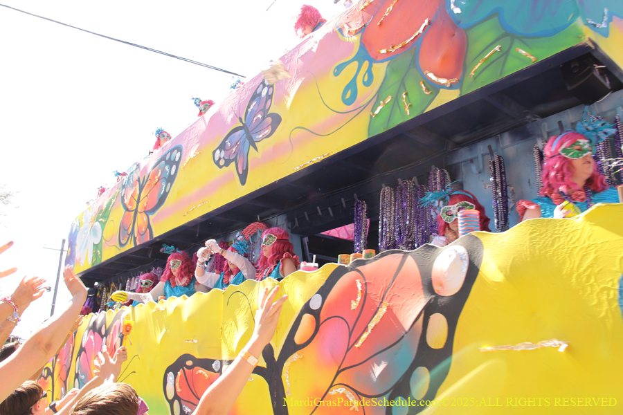 Krewe-of-Iris-2025-0781